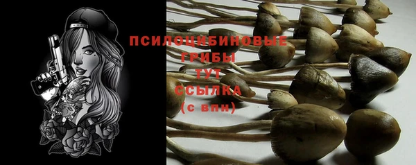 PSILOCYBIN Мегион