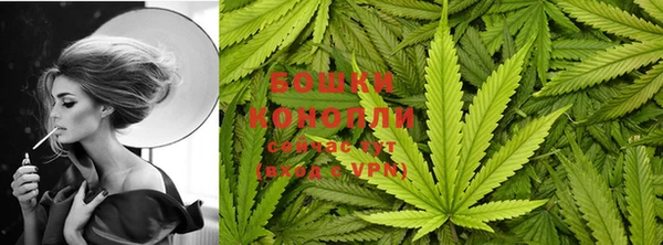 PSILOCYBIN Мегион