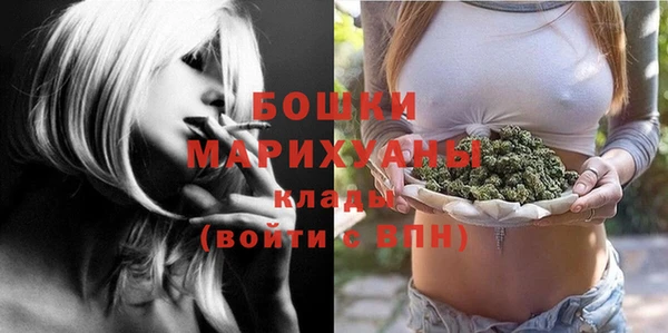 PSILOCYBIN Мегион