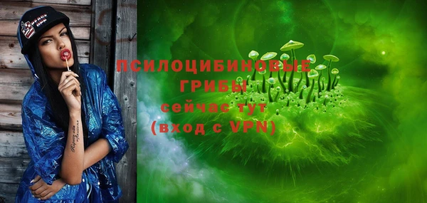 PSILOCYBIN Мегион