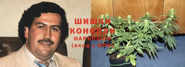 apvp Медногорск