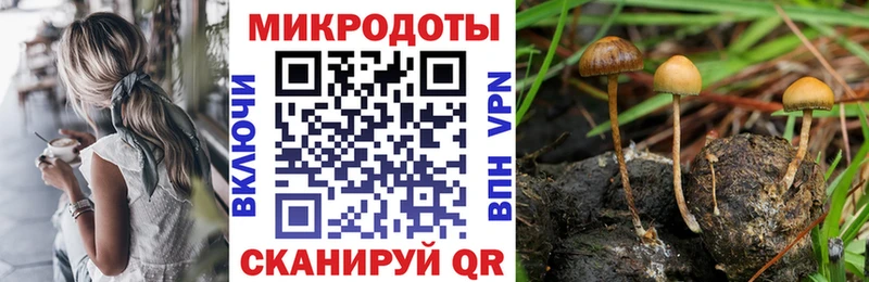 Псилоцибиновые грибы Magic Shrooms  Усмань 